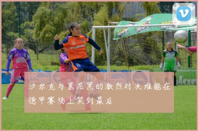 沙尔克与慕尼黑的激烈对决谁能在德甲赛场上笑到最后